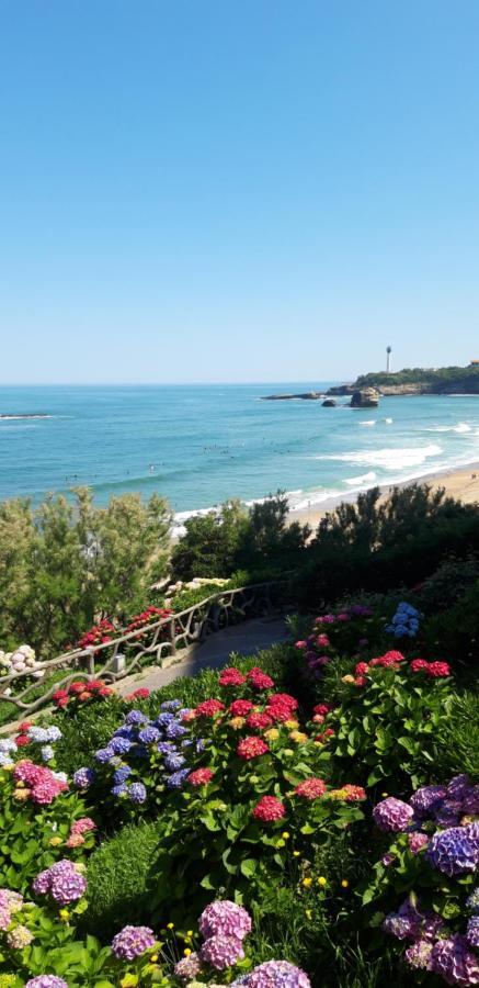 Dalhia Studio Centre Ville Biarritz Exterior foto